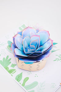 Succulent Flower Pot 3D Pop Up Card