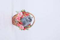 Blue Cat Flower Basket Hanging Ornament