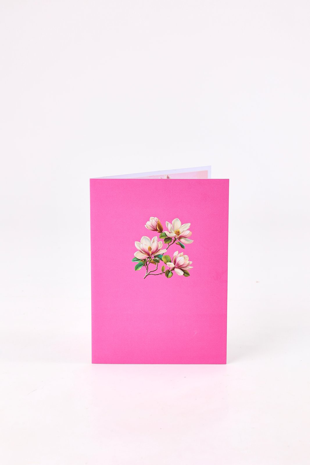 Magnolia Greeting Card