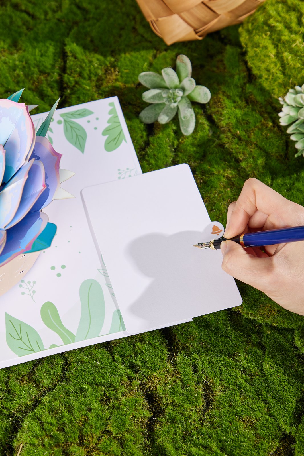 Succulent Flower Pot 3D Pop Up Card