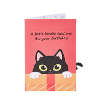 Funny Cat Birthday Greeting Card Bird