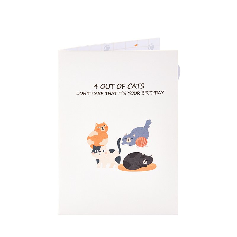 Nobody Cares Cat Birthday Greeting Card