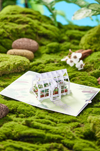 Greenhouse 3D Pop Up Card