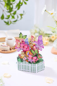 Butterfly Box Card