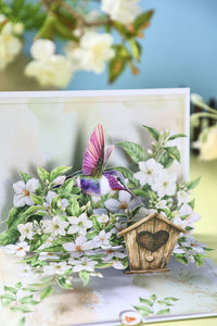 Jasmine Hummingbird Greeting Card 2-Pack