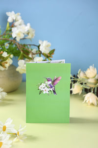 Jasmine Hummingbird Greeting Card 2-Pack