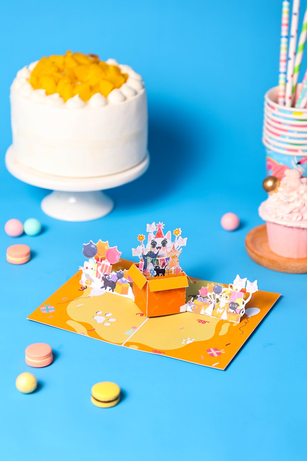 Cat Birthday Box Card
