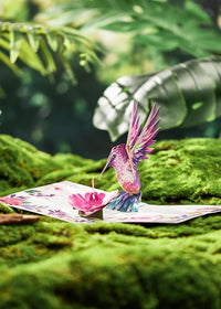 Hummingbird 3D Pop Up Card