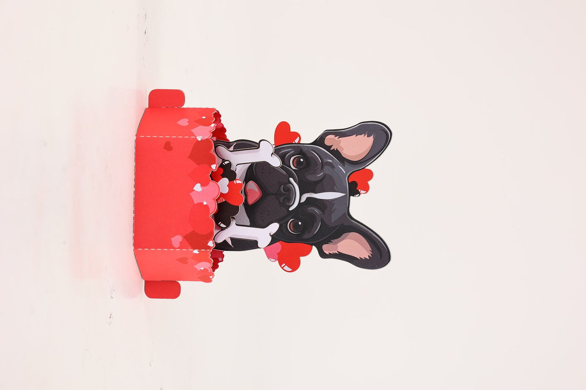 Valentine's Day French Bulldog Pop Up Card