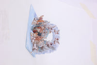 Holy Family Angel Flip Pop Up Card