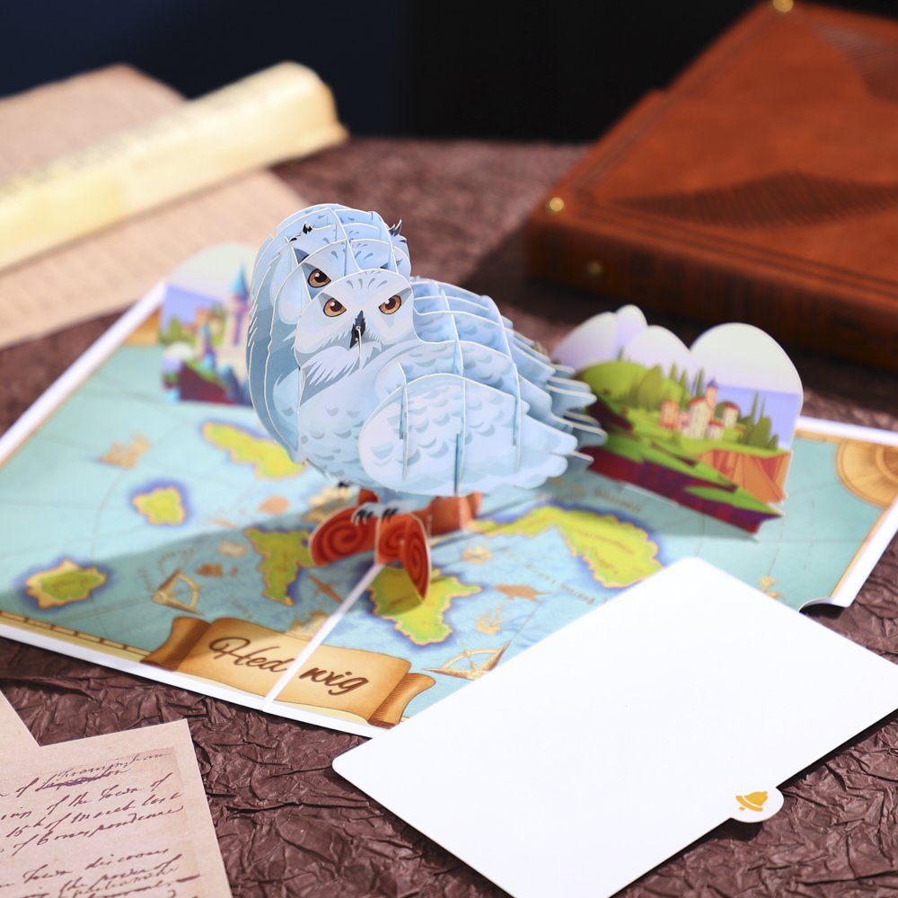 Owl Delivering Mail Map Greeting Card