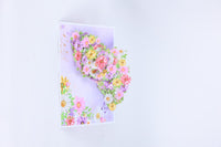 Mixed Color Cosmos Floral Branch Greeting Card