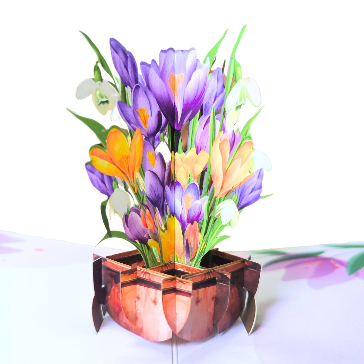 Crocus Greeting Card