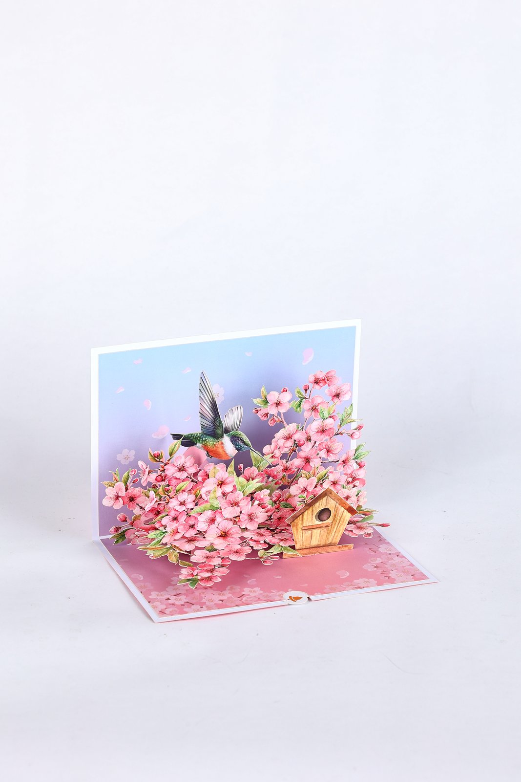 Cherry Blossom Hummingbird Greeting Card 2-Pack