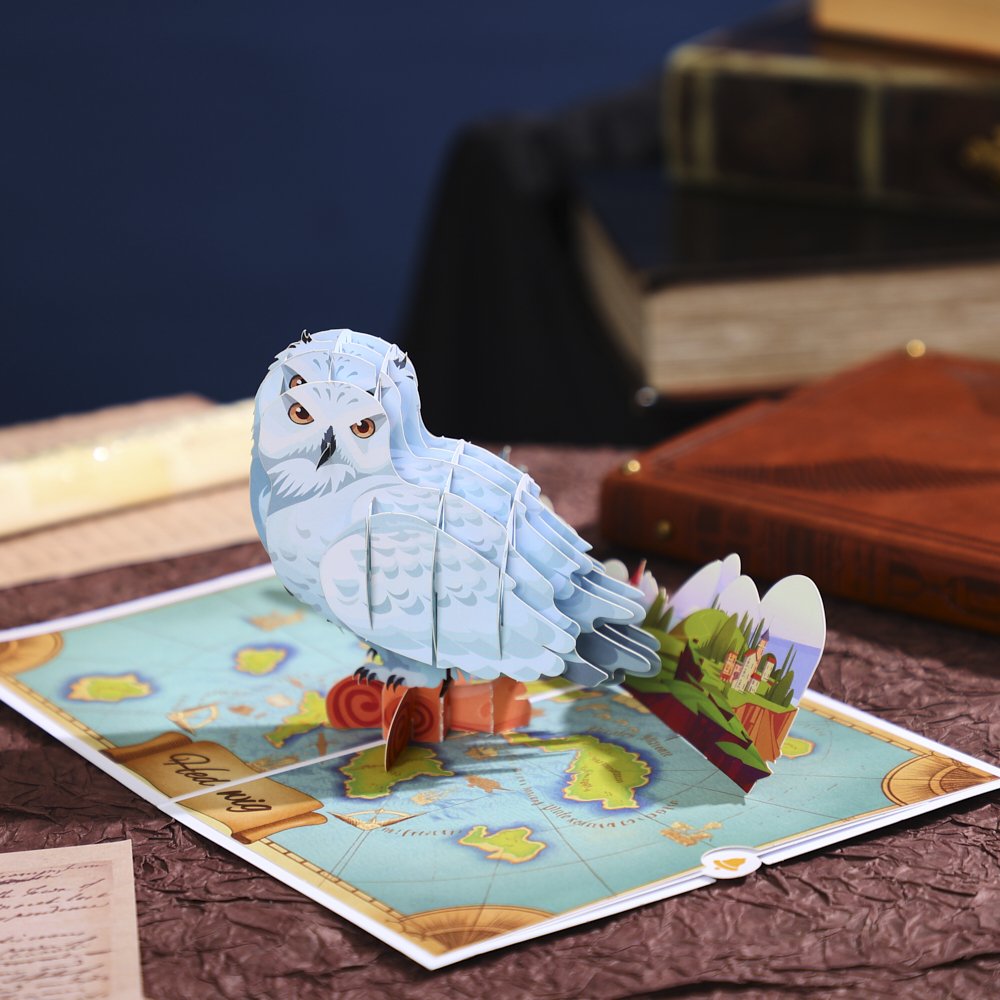 Owl Delivering Mail Map Greeting Card