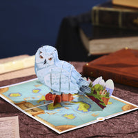 Owl Delivering Mail Map Greeting Card