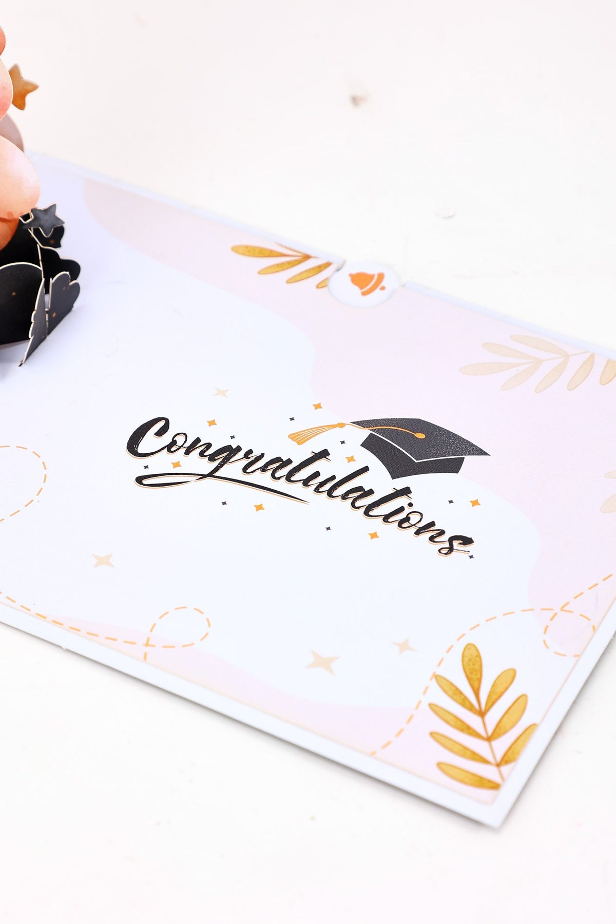 Graduation Season Little Bear Pop Up Card