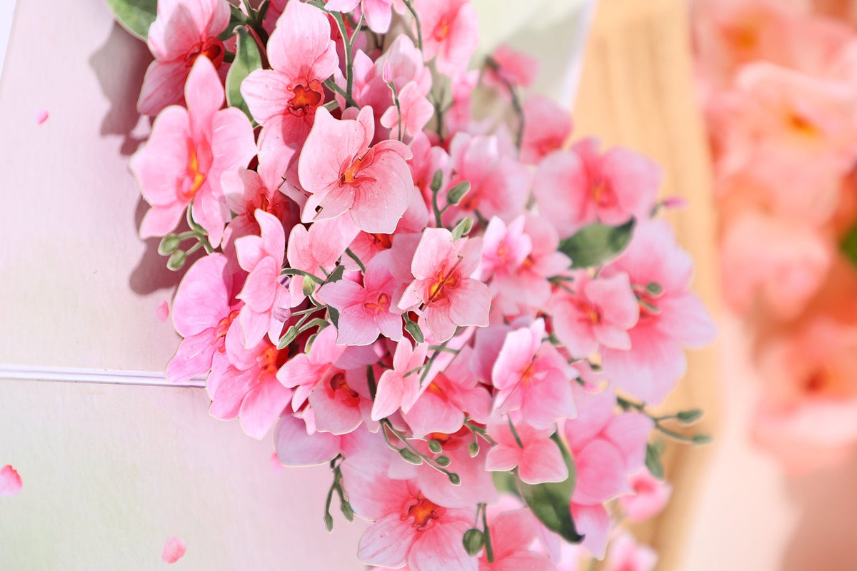 Pink Orchid Greeting Card