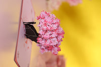 Couple Cherry Blossom Love Tree 3D Pop Up Card