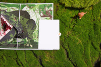 Giant Dragon 3D Pop Up Card