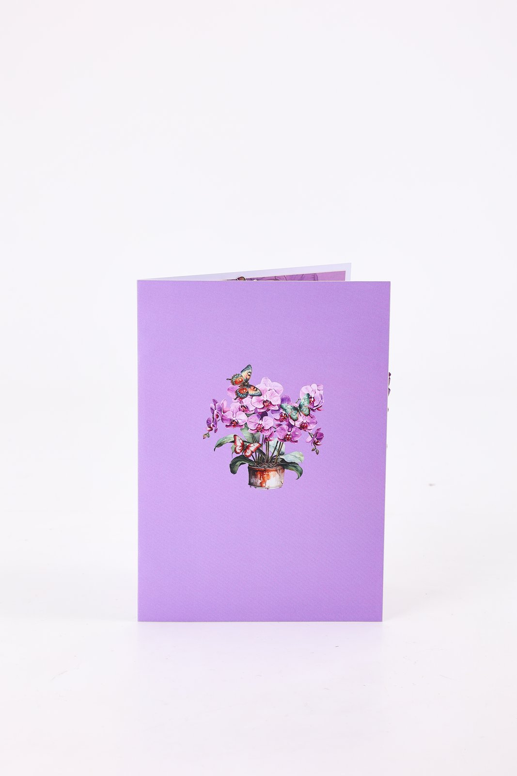 Heart Orchid Butterfly Cluster Greeting Card