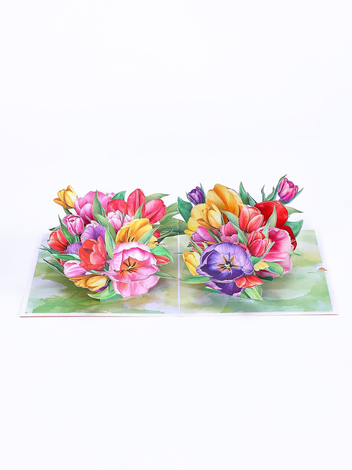 Tulip Flowering Shrubs 3D Pop Up Card
