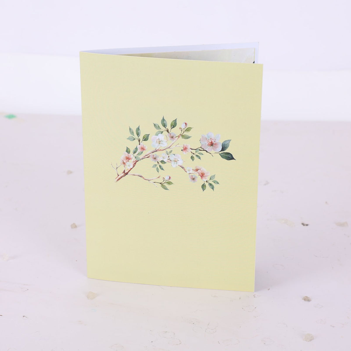 Magnolia Branch Greeting Card