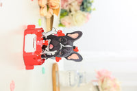Valentine's Day French Bulldog Pop Up Card