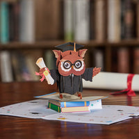 Owl Graduation 3D Pop Up Card