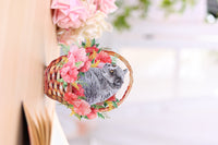 Blue Cat Flower Basket Hanging Ornament