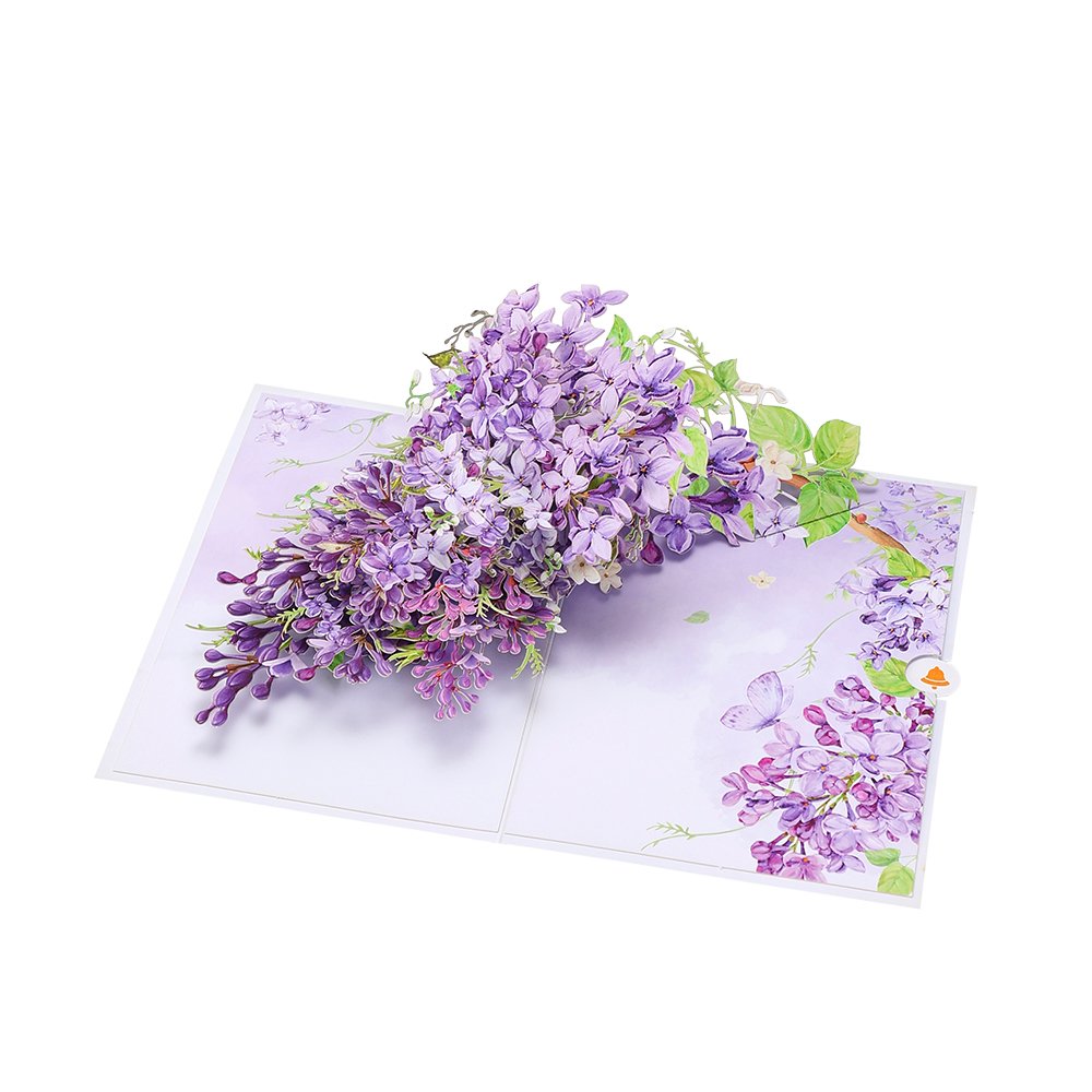 Wisteria Greeting Card