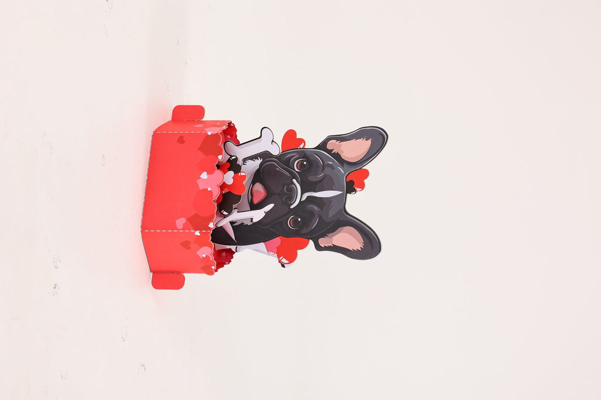 Valentine's Day French Bulldog Pop Up Card