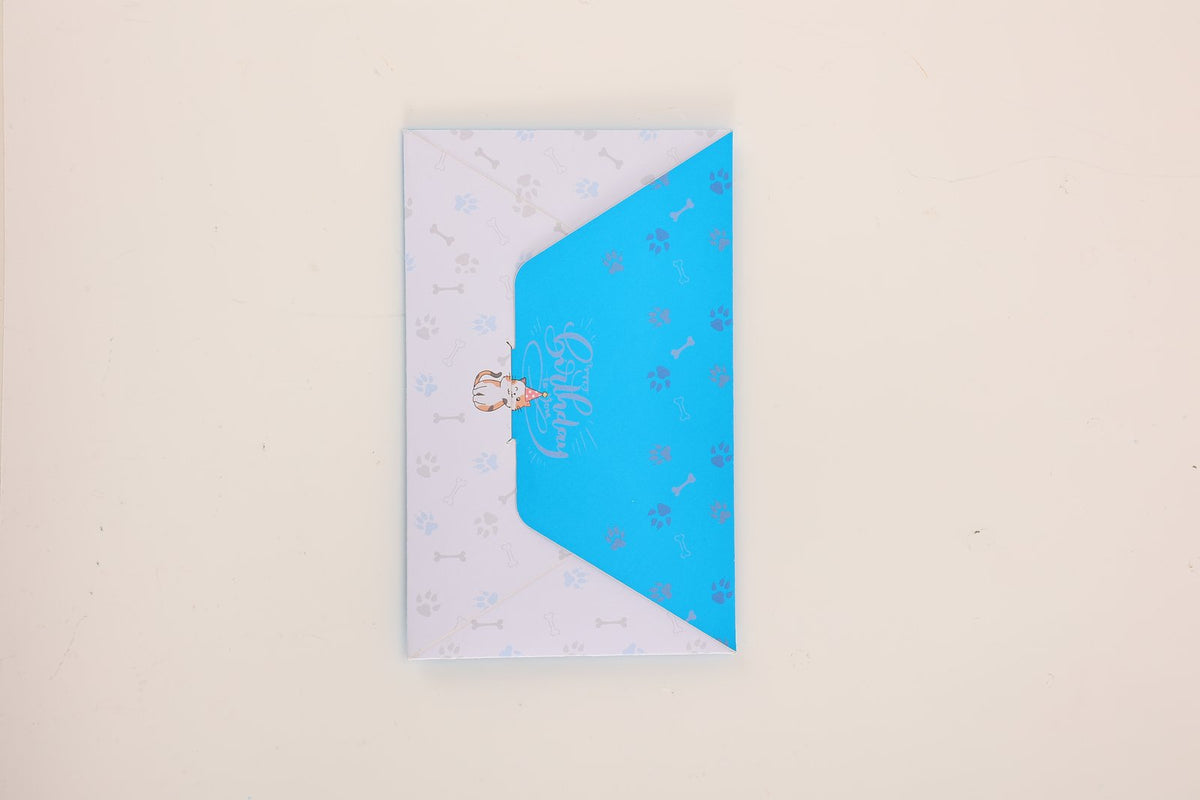 Funny Cat Surprise Envelope Pop Up Card