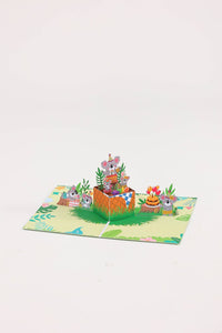 Koala Birthday Greeting Card
