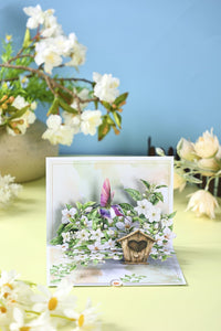 Jasmine Hummingbird Greeting Card 2-Pack