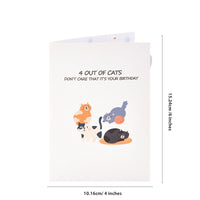 Nobody Cares Cat Birthday Greeting Card