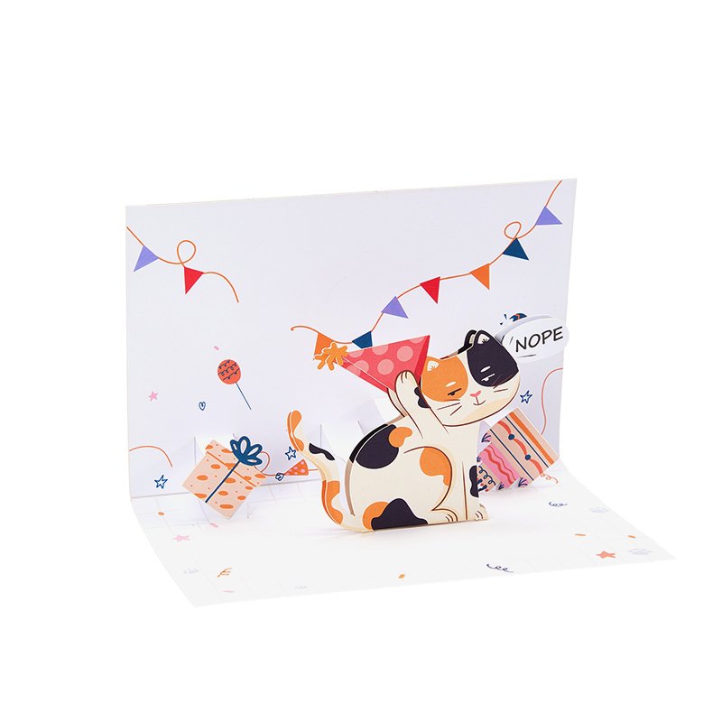 Nobody Cares Cat Birthday Greeting Card