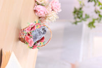 Blue Cat Flower Basket Hanging Ornament
