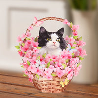 Cherry Blossom Cat Flower Basket Pop Up Card