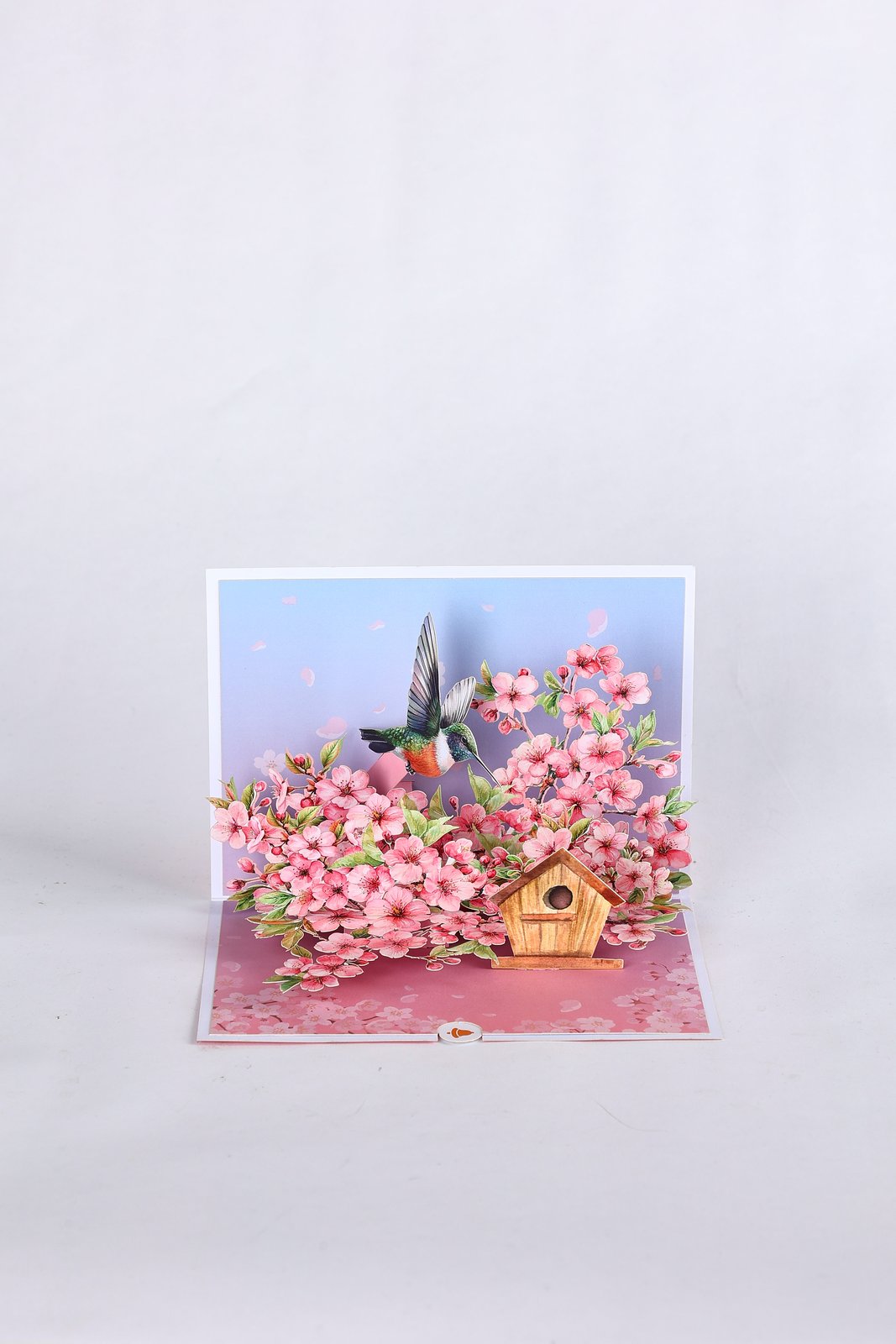 Cherry Blossom Hummingbird Greeting Card 2-Pack