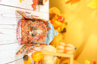 Autumn Pumpkin Double Door 3D Pop Up Card