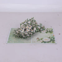 White Camellia 3D Pop Up Card