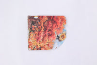 Autumn Thank You Harvest 3D Pop Up Card