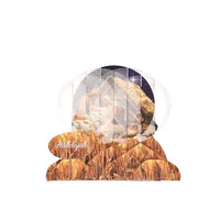 Christmas Nativity Manger Crystal Ball Card