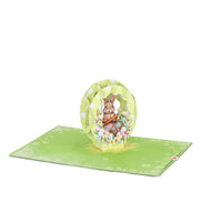 Green Bunny Easter Egg Flip Pop Up Card