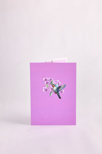 Orchid Hummingbird Greeting Card