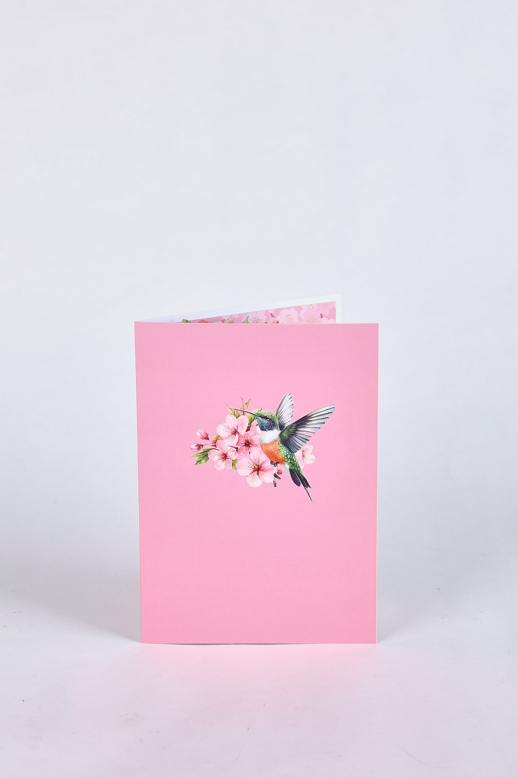 Cherry Blossom Hummingbird Greeting Card 2-Pack