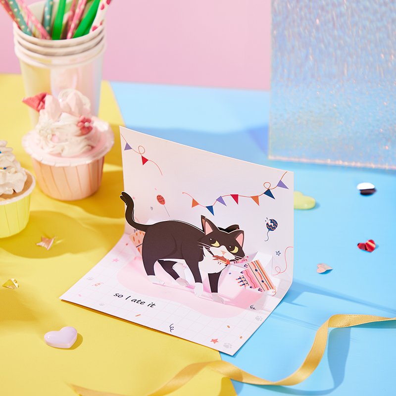 Funny Cat Birthday Greeting Card Bird