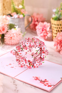 Cherry Blossom Greeting Card