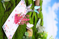 Butterfly Metamorphosis 3D Pop Up Card